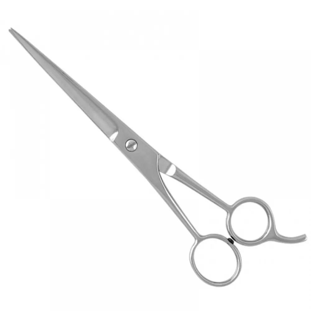 Economy Hair Scissors, model OI-03-5452