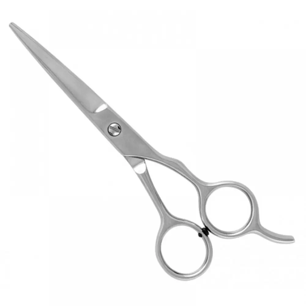 Economy Hair Scissors, model OI-03-5455