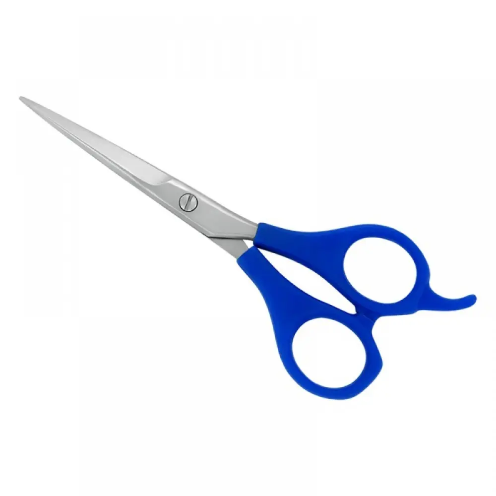 Plastic Handle Scissors, model OI-04-5501