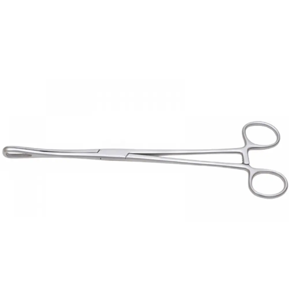 Rampley Forceps 24cm, model ORB-PI-1501